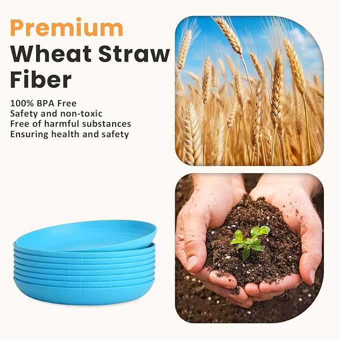 Homienly Wheat Straw Plates, 10 inch Deep Dinner Plates, Service for 8, Unbreakable Plates for Outdoor, Lightweight Microwave and Dishwasher Safe Camping Plate Set for Dinner, Salad, Fruit - Sky Blue