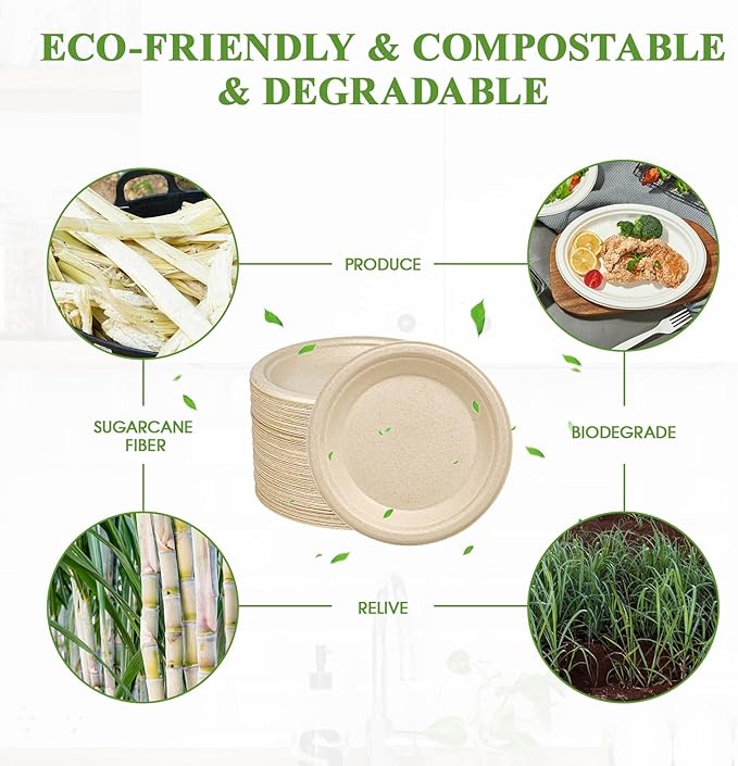 Vplus 125 Pack 6 inch Paper Plates 100% Compostable, Heavy-Duty Disposable Paper Plates Bagasse Natural Biodegradable Eco-Friendly Sugarcane(Nature)