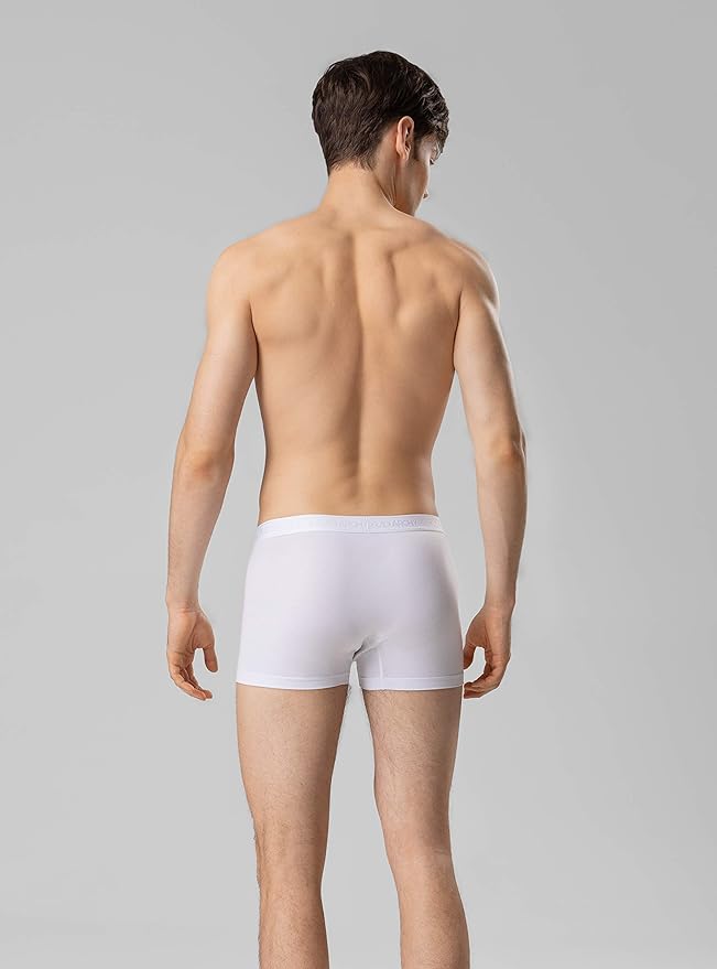 DAVID ARCHY Men's Underwear Ultra Soft Modal Dual Pouch Trunks Ball Pouch Bulge Enhancing Boxer Briefs for Men 3 or 4 Pack