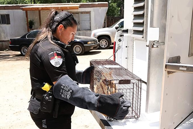 RAPICCA Animal Handling Gloves Bite Proof Reinforced Leather Padding Dog,Cat Scratch,Bird Handling Falconry Gloves Grabbing,Reptile Squirrel Snake Bite 22in Grey-Black