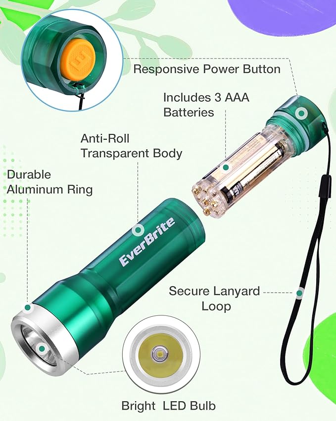 EverBrite Mini Flashlight, LED Flash Light with 3 Modes, 3 AAA Batteries Included, Water-Resistant Small Flashlight for Emergencies and Camping, Green, 1 Pack