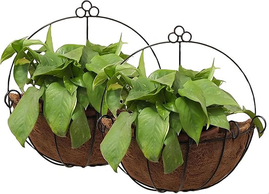 Tosnail 2 Pack Metal Wall Hanging Planter Basket with Coco Liner - Great for Indoor or Outdoor Plants
