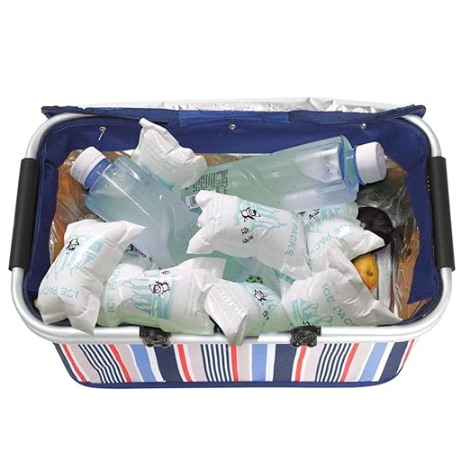 Small Shipping Dry Ice Packs Shipping Cold Packs for Frozen Food, 48 Packs Bulk Dry Ice Sheets for Coolers Reusable, Shipping Ice Packs Long Lasting Shipping Cold Ice Pack Sheets Keep Food Drink Cold