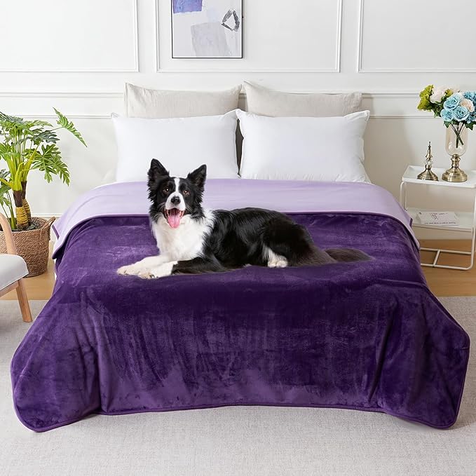 SOCHOW Waterproof Blanket for Bed Sofa Couch, Water Resistant Blanket Washable 60"x80", Reversible Leakproof Bed Cover for Adults Elderly Pets, Deep Purple & Light Purple