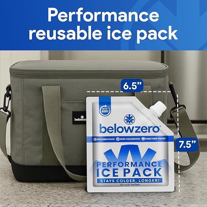 Below Zero Reusable Ice Packs for Coolers – Long Lasting Cooler Ice Pack Blocks, Leak-Proof Freezer Packs for Camping, Lunch Boxes & Travel