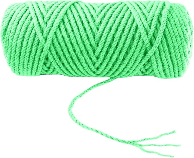 4mm x 100 Feet Light Green Jute Rope, Twine for Gardening Tomato Climbing Plant Tie Floristry Crafts Gift Wrapping Packing Decor