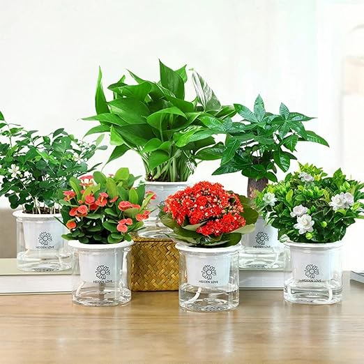 Drip Irrigation System, 33 feet 1/6 inch Self-Watering Planter Pot Automatic Water System Device Potted Violet self Watering Rope-30362