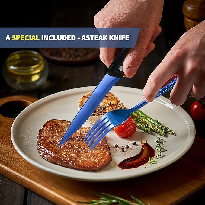 Portable Travel Utensils Set,Reusable Utensils,Travel Camping Cutlery Set,Stainless Steel Flatware Set with Case,Lunch Boxes Workplace Camping School Picnic (Blue)