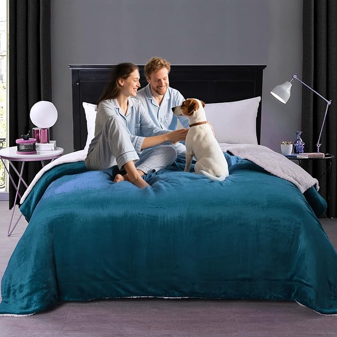 Waterproof Queen Size Blankets for Bed Absorbent 60''x80'', Water Proof and Stain Resistant Coach Cover, Water Resistant Throw Blankets, Soft Leakproof Sherpa Mattress or Furniture Protector (Blue)