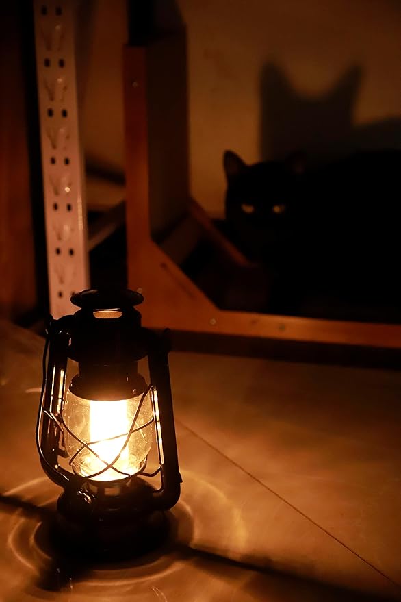 YAKii LED Vintage Lantern Metal Hanging Hurricane 12 LED Dimmer Switch Warm White Battery Operated Power Outage Indoor Camping Lighting Outdoor Brooklyn Decoration(Black)