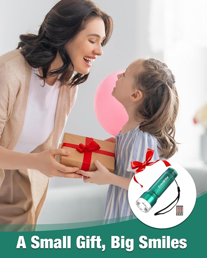 EverBrite Mini Flashlight, LED Flash Light with 3 Modes, 3 AAA Batteries Included, Water-Resistant Small Flashlight for Emergencies and Camping, Green, 1 Pack