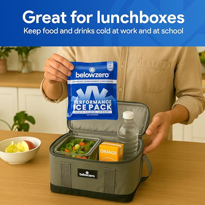 Below Zero Prefilled Reusable Ice Packs for Coolers | Long Lasting Freezer Ice Blocks for Camping, Lunch Bags & More | 48 Hour Cooler Ice Pack Technology