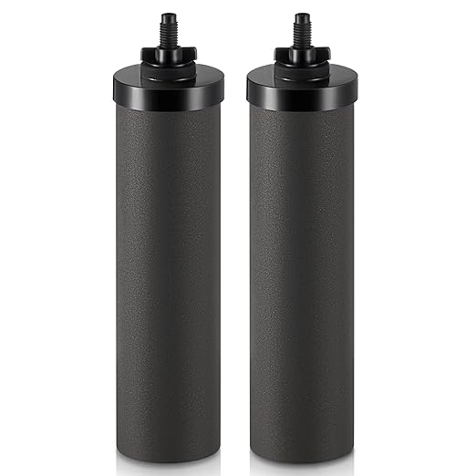 CO-Z Water Filter Replacements, 2 Activated Carbon Water Filters for Gravity Filtration System, Black Purification Elements Purifier Replacements for Home Travel Outdoor, NSF/ANSI 42 Certified