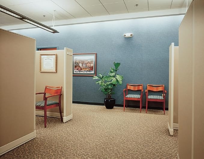 Lithonia Lighting Quantum Emergency Light, Contemporary Commercial LED Emergency Lights with 2 Aimable Lamp Heads, Ceiling or Wall Mount, White Thermoplastic, UVOLT (ELM2L UVOLT LTP M12)