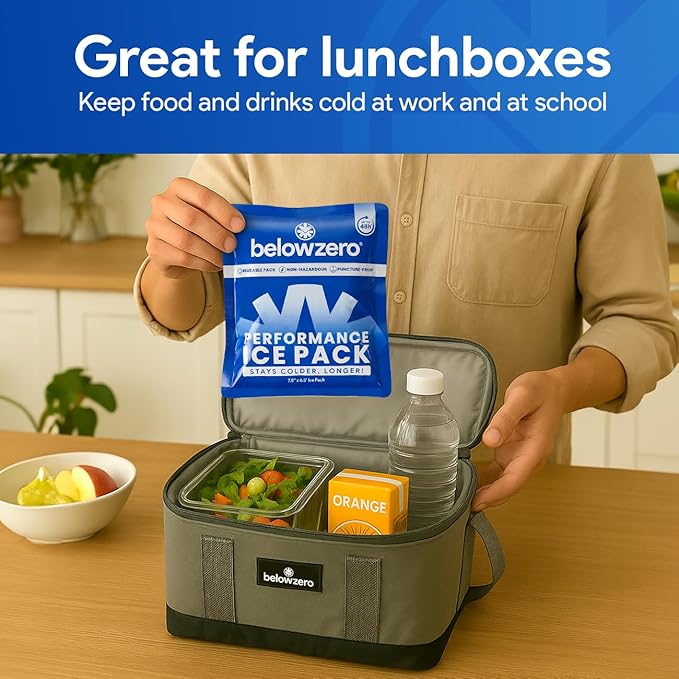 Below Zero Prefilled Reusable Ice Packs for Coolers | Long Lasting Freezer Ice Blocks for Camping, Lunch Bags & More | 48 Hour Cooler Ice Pack Technology