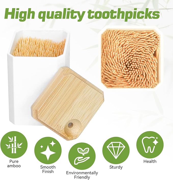 HOPELF Toothpick Holders 2 Pack with 3000 Picks,Round Toothpicks Double-Side Point for Teeth,Food Pick,Appetizers,Cocktails Fruits,Olive&DIY Craft.