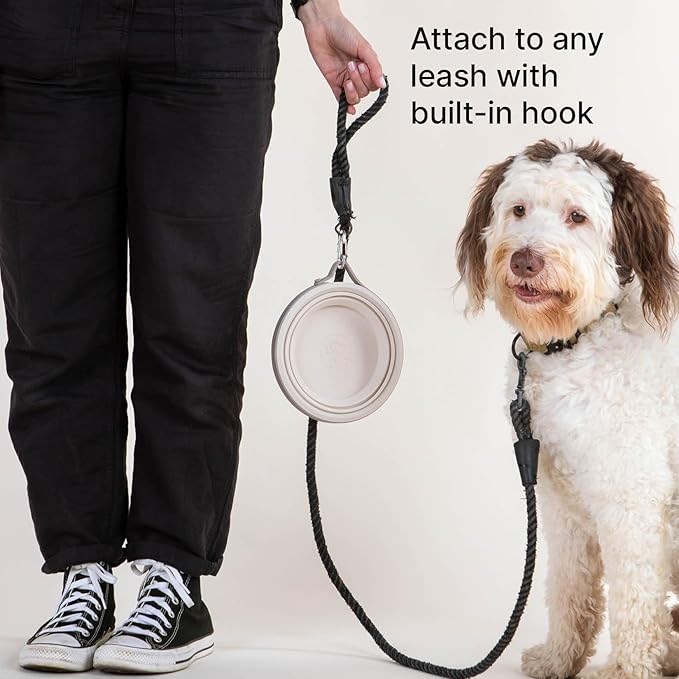 Nomad Large Collapsible Dog Bowl - 4 Cup Food-Safe Silicone Travel Bowl for Dogs, Portable & Sturdy, Food/Water, Dishwasher Safe - Sand