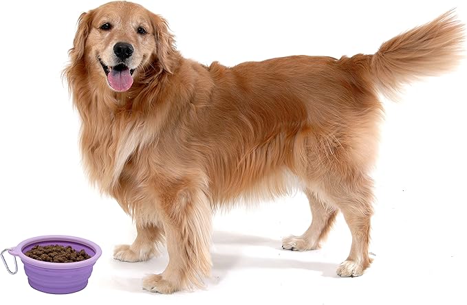 Prima Pet Collapsible Silicone Water Travel Bowl with Clip for Dog and Cat, Portable and Durable Pop-up Feeder for Convenient On-The-go Feeding – Size: Large (5 Cups) Purple