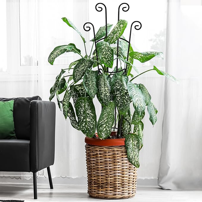 32.6in Plant Trellis for Climbing Plants Indoor, Expandable Large Metal Trellis for Potted Plants, Heavy-Duty Tall Pothos Plant Climber Support for Ivy Pothos Hoya Monstera, 2P