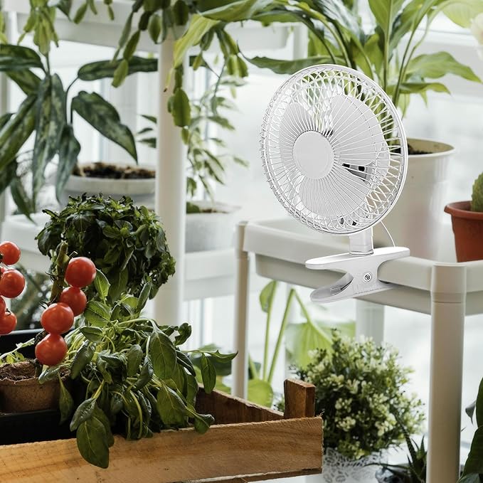 JOEY'Z 2 Pack - 6 INCH - 2 Speed - Adjustable Tilt, Whisper Quiet Operation Clip-On-Fan - Black