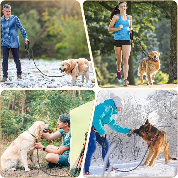 NTR Heavy Duty Dog Leash, 10FT Long Rope Leash with Swivel Lockable Hook, Reflective Threads and Comfortable Handle, for Medium and Large Dogs (Blue)