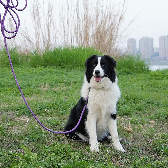 NTR Long Dog Leash, 70FT Check Cord with with Swivel Lockable Hook, Reflective Threads and Padded Handle for Purple Leash for Small Medium Large Dog Walking Training Hiking Camping Playing