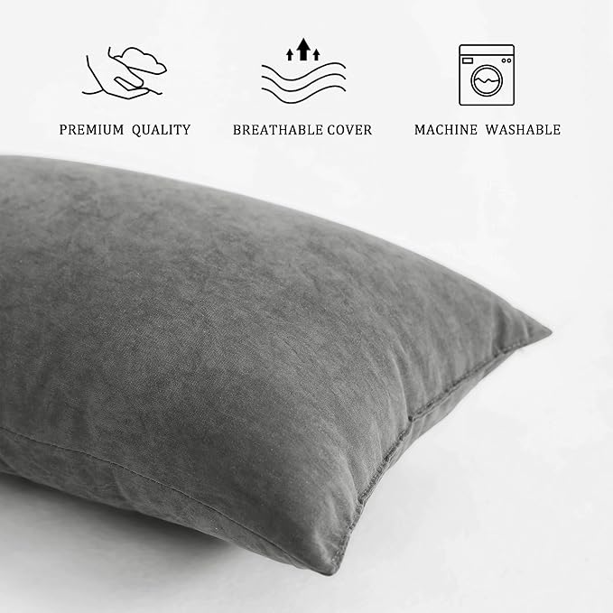 BEDSUM 2 Pack Microfiber Pillows, 13"x18", Soft, Machine Washable, Dark Grey