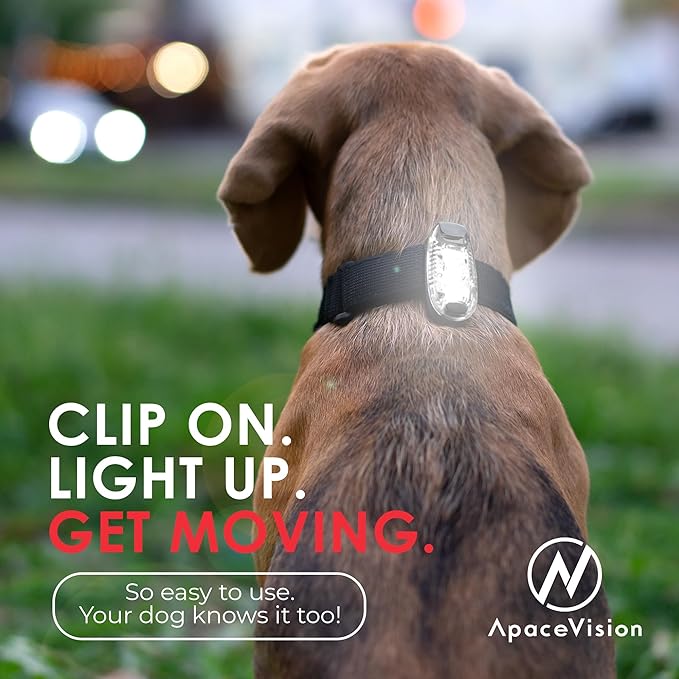 LED Safety Light (2 Pack) - Clip On Strobe/Running Lights for Runners, Dog, Bike, Walking, Boat, Kayak, Stroller and More - High Visibility Accessories for Your Reflective Gear, Bicycle