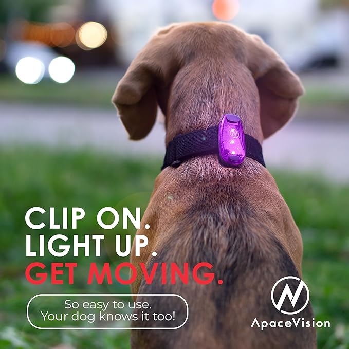 LED Safety Light (2 Pack) - Clip On Strobe/Running Lights for Runners, Dog, Bike, Walking, Boat, Kayak, Stroller and More - High Visibility Accessories for Your Reflective Gear, Bicycle