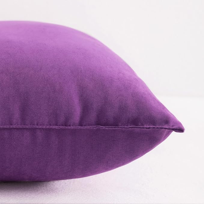 NTBAY Toddler Pillows, Down Alternative 13"x18" Pillows, Machine Washable - Soft and Breathable Travel Small Pillows for Sleeping, Ideal for Daycare, Crib, Cot, Purple
