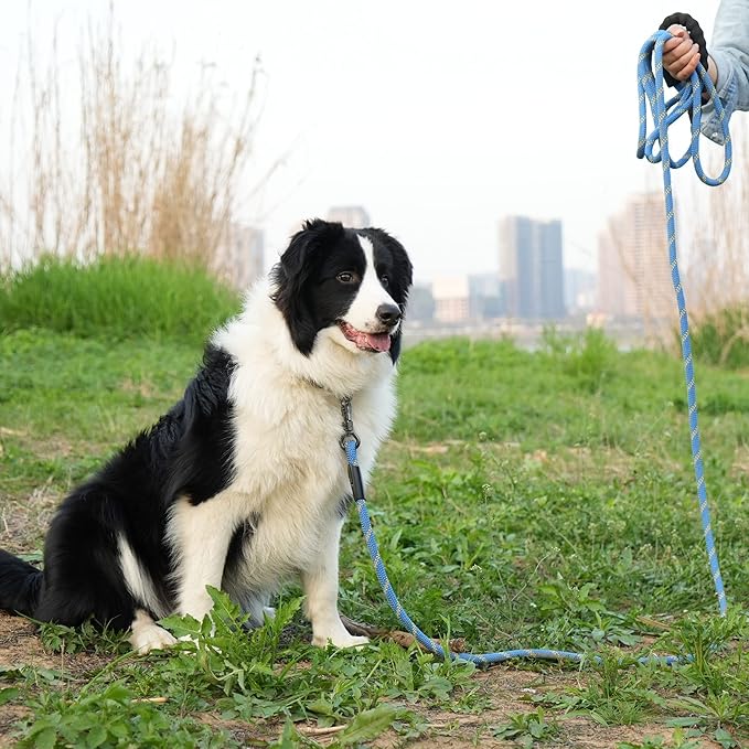 NTR Heavy Duty Dog Leash,5FT Long Rope Leash for Dog Training with Swivel Lockable Hook,Reflective Threads and Comfortable Handle,Dog Lead for Walking,Hunting,Camping for Medium and Large Dog (Blue)