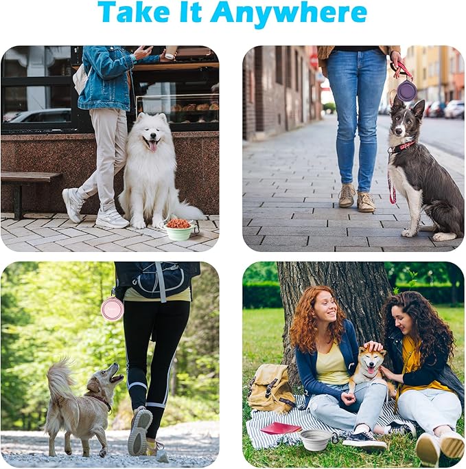 PetBonus 2-Pack Silicone Collapsible Dog Bowls, BPA Free Dishwasher Safe, Portable Foldable Expandable Travel Bowl, Food Water Feeding Cup Dish for Dogs Cats with 2 Carabiners (Black, Dark Purple)