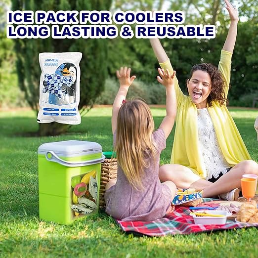 Mr.Ice Dry Ice Packs for Coolers, 8 Pack Ice Packs for Lunch Boxes Cold Packaging for Shipping Reusable, Long Lasting Shipping Cold Packs for Mailing, Newly Dry Ice Packets, Keep Food Drink Cool