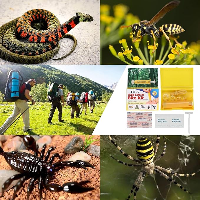 Snake Bite Kit, Bee Sting Kit, Emergency First Aid Supplies, Venom Extractor Suction Pump, Bite and Sting First Aid for Hiking, Backpacking and Camping