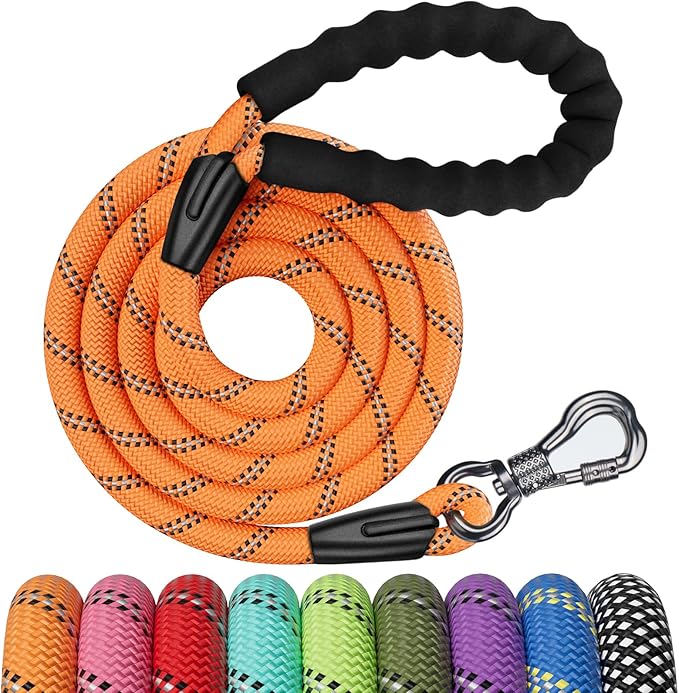 NTR 6FT Heavy Duty Dog Leash, Orange Rope with Swivel Lockable Hook and Comfortable Padded Handle, Cat & Dog Leash for Small to Large Dogs, Training, Playing, Camping or Backyard