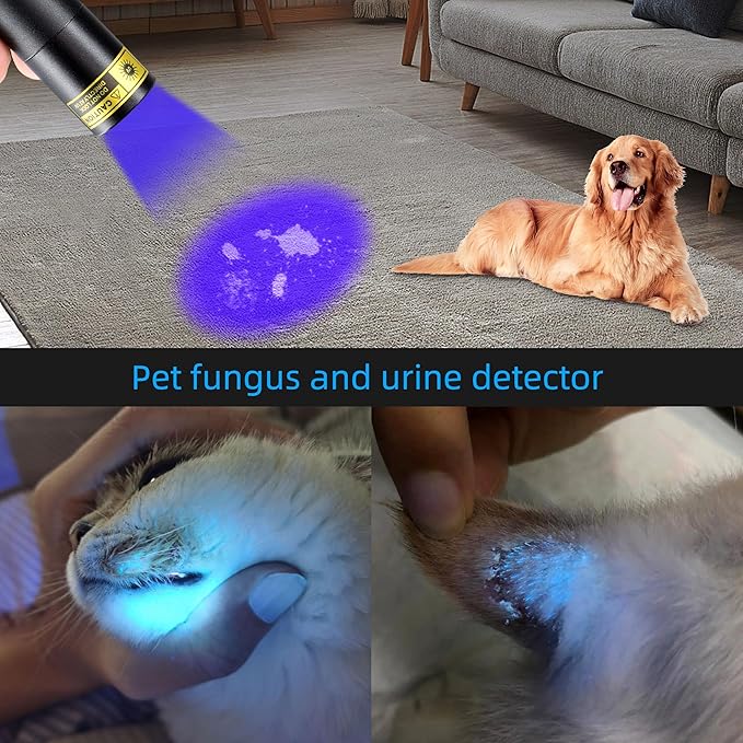 DARKDAWN UV 365nm Black Lights，Mini USB - C Rechargeable Flashlights Portable Woods Lamp, Handheld Portable Blacklight 370nm for Cat Urine Detection, Stains, Uranium Glass, Leak Detection, V4 365 nm