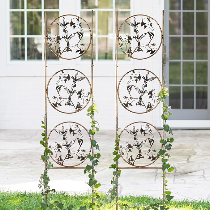 SUNNYPARK Set of 2 Hummingbird Metal Garden Trellis for Climbing Plants, Decorative Vegetables Flowers Vine Trellis for Outdoor Patio 55'' H x 12.4'' W