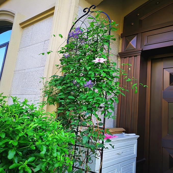 4 Pack Metal Garden Trellis 86.7" H Garden Fence Rustproof Trellis for Climbing Plants Support Roses Flower Outdoor Lawn Black