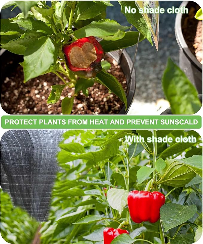 Shade Cloth for Garden, 40% 6.5 x 10 FT Greenhouse Shade Cloth Black Mesh Tarp with Reinforced Grommets, Resistant Sun Shade Net for Plants Cover, Vegetables, Patio, Chicken Coop Sunshade