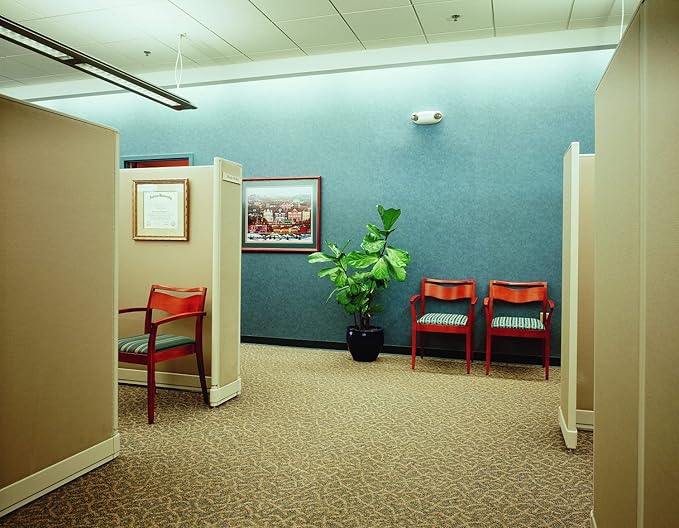 Lithonia Lighting Basics Low Profile Emergency Light, LED Emergency Lights for Business, Ceiling or Wall mount, White Thermoplastic, 120/277V Dual Voltage (EU2L M12)