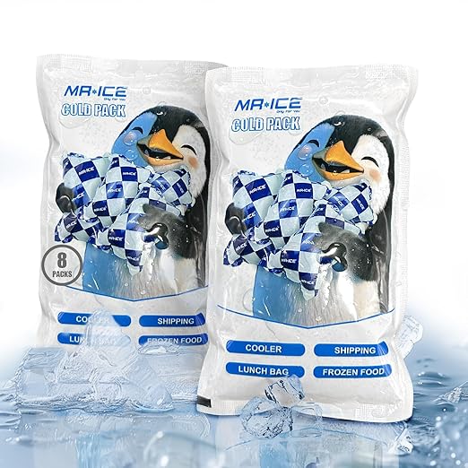 Mr.Ice Dry Ice Packs for Coolers, 8 Pack Ice Packs for Lunch Boxes Cold Packaging for Shipping Reusable, Long Lasting Shipping Cold Packs for Mailing, Newly Dry Ice Packets, Keep Food Drink Cool