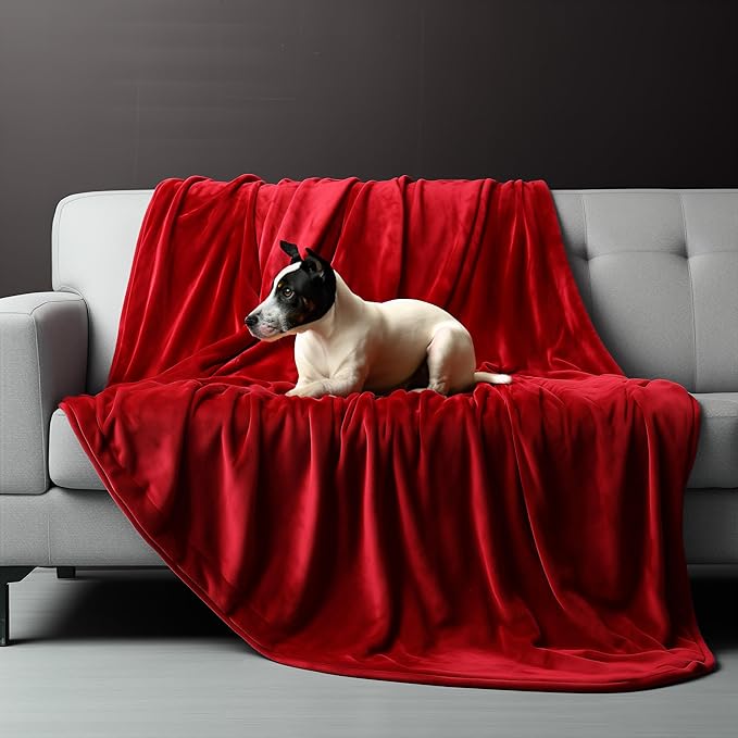 King Size Waterproof Blanket, Spill-Proof, Stain Proof, Water Proof & Mess-Free Cozy Flannel Splash Blanket, Reversible & Oversize (Passion Red & Midnight Black, 90x108)