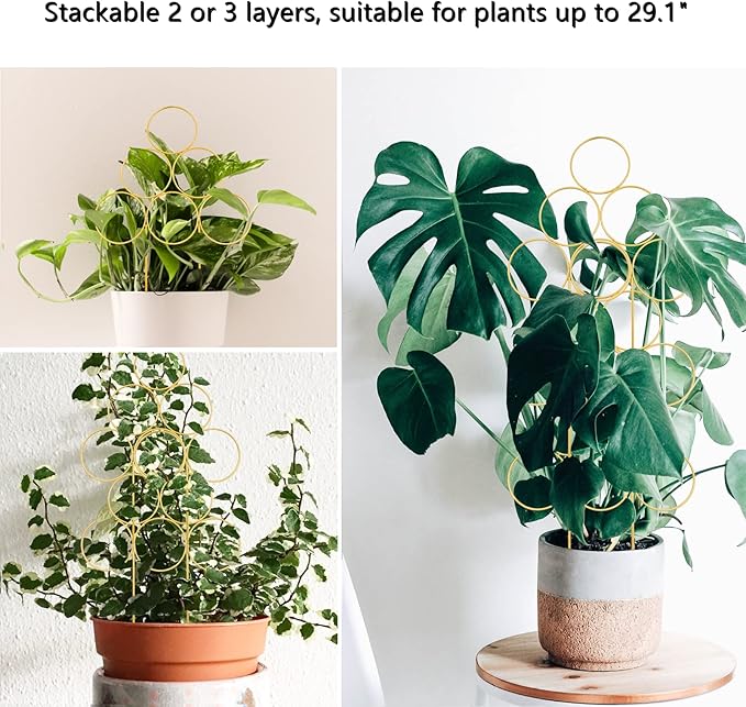 Trellis for Climbing Plants Indoor 15.7 Inch, Small Plant Trellis for Potted Plants, 3 Pack Stackable Circle Garden Houseplant Trellis for Vines