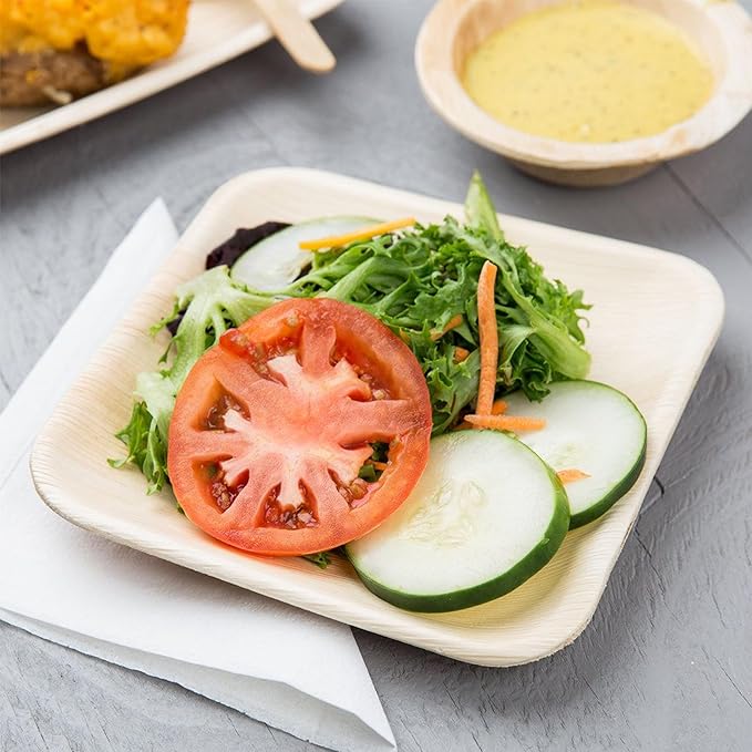 Raj Palm Leaf Bulk Plates like Bamboo plates Disposable, Decorative Compostable Tableware for wedding, Lunch, Dinner, Birthday, Camping, Outdoor BBQ (6" 200 Pack(6 Cases I 1200 Pack))