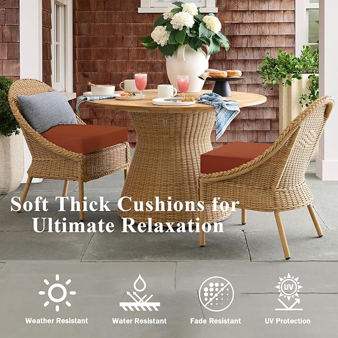 Outdoor Chair Cushions Set of 2, Waterproof Foam Patio Seat Cushions with Ties for Garden Sofa & Dining Furniture, 3-Year Color Fastness, 18x18x3 Inch, Spcie