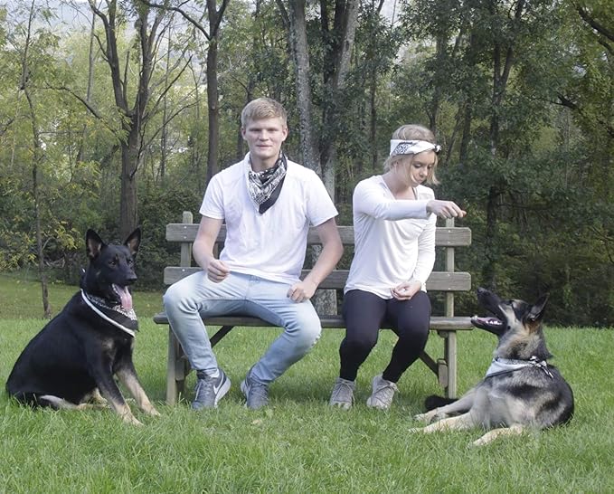 $averPak Pets - InsectGuard Permethrin Treated Mosquitoes, Flies, Ticks & More Insect Repellent Dog Bandanna Paisley (Beige)