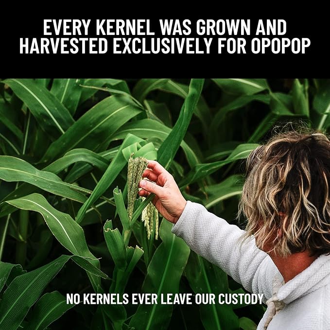 Opopop Gourmet Popcorn Gift Set - Variety 12-Pack Microwave Popcorn Kit, Collapsible Silicone Popcorn Popper, Gift Ready Packaging, Gluten Free Snacks Variety Pack, BPA-Free and Dishwasher Safe