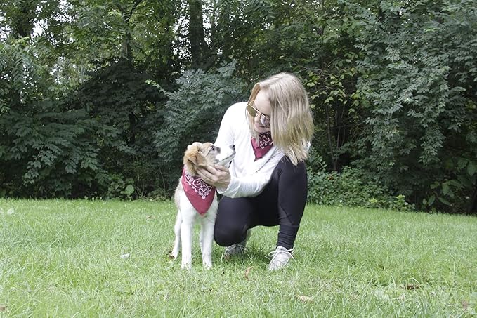 $averPak Pets - InsectGuard Permethrin Treated Mosquitoes, Flies, Ticks & More Insect Repellent Dog Bandanna Paisley (Black/White)