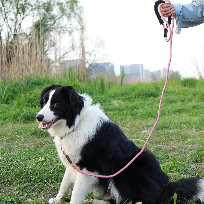 NTR Long Dog Leash, 30FT Check Cord with Swivel Lockable Hook and Comfortable Padded Handle for Pink Leash for Small Medium and Large Dogs Walking Training Hiking Camping Playing