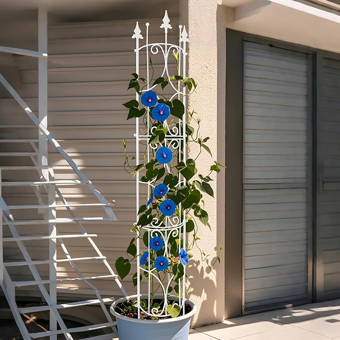 Garden Trellis 2 Pack 72'' H x 12'' W Metal Plant Trellis Indoor/Outdoor Metal Garden Trellis Plant Trellis for Potted Plants Climbing Houseplants Flowers